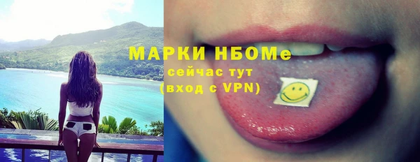 мдпв Каменка