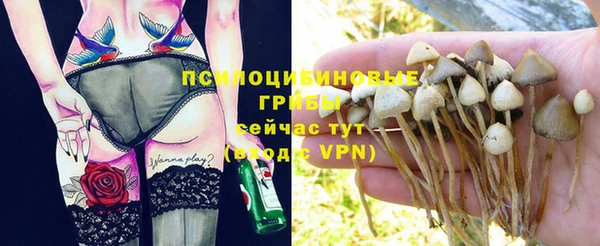 хмурый Карпинск