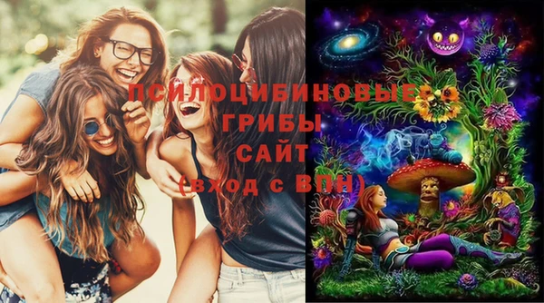 хмурый Карпинск