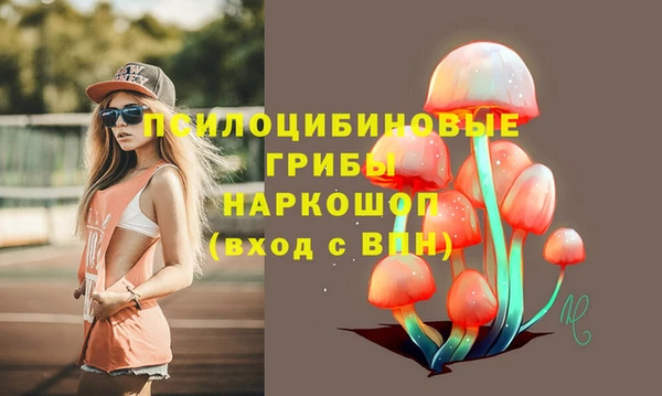 хмурый Карпинск